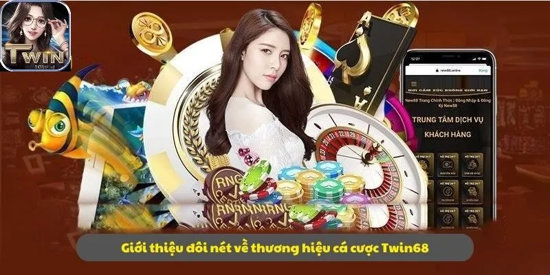 Giới thiệu đôi nét về thương hiệu cá cược Twin68